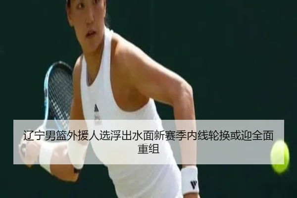 辽宁男篮外援人选浮出水面新赛季内线轮换或迎全面重组
